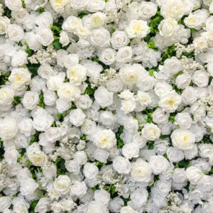 White floral wall backdrop with roses and peonies, perfect for weddings and special occasions.