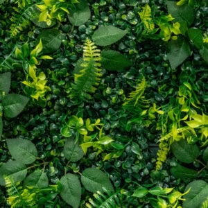 Vertical garden with vibrant green foliage and ferns.