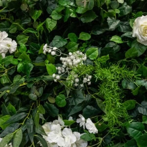Vibrant meadow-inspired floral wall with white blooms and lush greenery.